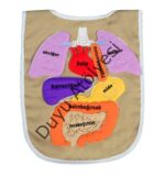 Kumaş Organ Önlük